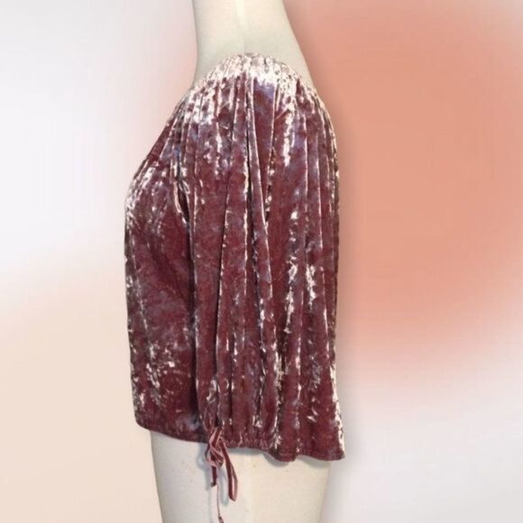 American Eagle Outfitters Mauve Crushed Velvet Cropped‎ Top XS - Picture 4 of 10